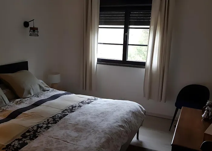 Du Berger Paris Climatisé * Coustaussa